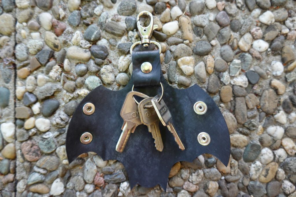 Afrique Chauve Souris Tanzanie - Photo gratuite sur